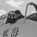Asian pilot Reading PA Air Show
