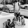 26-Dog-Walker-100th-St.-and-CPW-Summer-2021