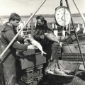 fishing3