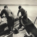 fishing4
