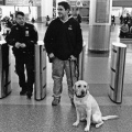 Security at Whitehall Terminal, Manhattan