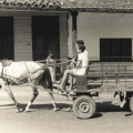 cuba6