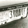 3-license-plate